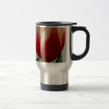 Tulipe rouge et blanche tasse