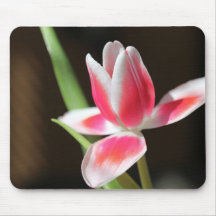 Tulipe Tapis De Souris