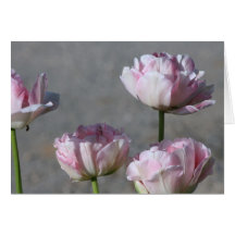 tulipes carte de vœux