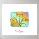 Tulipes Affiche