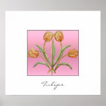 Tulipes Posters