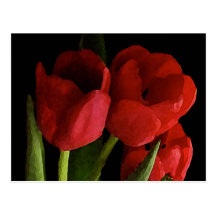 Tulipes rouges cartes postales