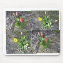 tulipes tapis de souris