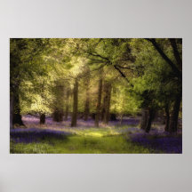 Tunnel de jacinthe des bois posters