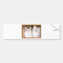 Twee Leuke Comfortabele Katjes Bumpersticker