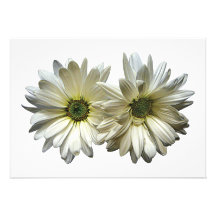 Twee Margrieten Uitnodiging