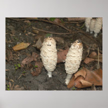 Twee zijn een paar print
