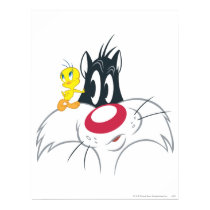 Tweety in Actie stelt 12 posters
