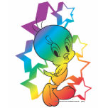 Tweety Rainbow Stars T Shirt
