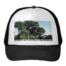 Tzompantli-Mur des crânes, Chichen Itza Casquettes