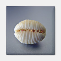 Uiterst kleine shell magneet