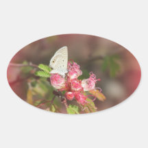 Uiterst kleine Vlinder op de Roze Stickers van de 