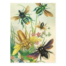 Un bourdonnement de belles cartes postales d'abeil