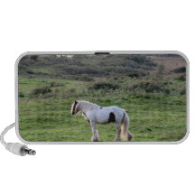 Un cheval haut-parleurs