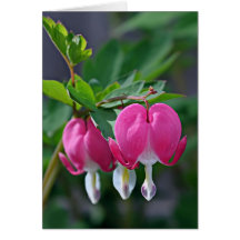 Un coeur vrai carte de vœux