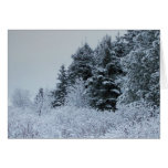 Un hiver 1 du Maine Carte De Vœux