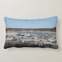 Un hiver sur le coussin lombaire de rivière de Wew