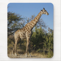 UN LONG BOUT DROIT TAPIS DE SOURIS