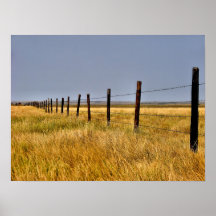Un mille de prairie encadré posters