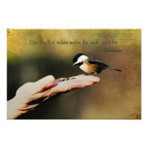 Un oiseau dans la main photographe