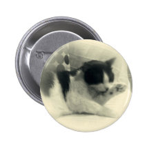 Un romance félin badge avec épingle