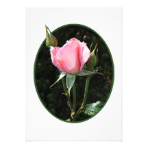 Un Rosebud rose Cartons D'invitation