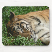 Un tigre somnolent tapis de souris