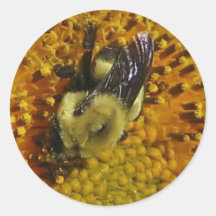 Une abeille autocollants ronds
