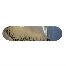 Une des plages à la crique de La Jolla Plateau De Skate