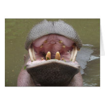 Une grimace Toothy Cartes
