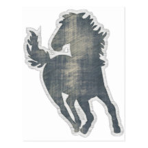 Une histoire de cheval cartes postales