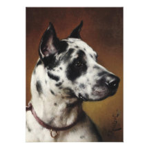 Une invitation de great dane