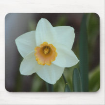 Une jonquille blanche et jaune tapis de souris