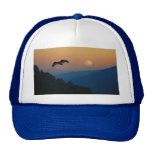 Une montée d'aigles casquettes