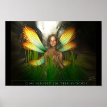 Une nuit dans les bois poster