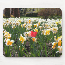 une tulipe rouge tapis de souris