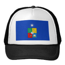 Universiteit de vlag van van Chili, Chili Petten Met Netje