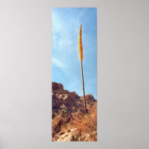 Usine de canyon grand posters