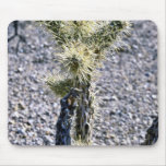 Usine en filigrane de cactus tapis de souris