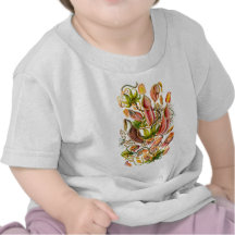 Usines de broc t-shirts