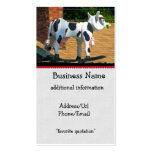 Vache à toit carte de visite