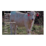 Vache blanche avec les oreilles étiquetées dans un carte de visite