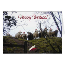 Vaches à Noël utilisant des chapeaux de Père Noël Carte