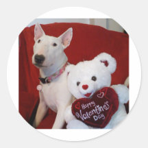 valentine de bull-terrier autocollants ronds