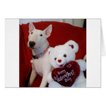 valentine de bull-terrier carte