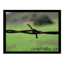 Vallée de Carmel de barrière de barbelé, carte pos