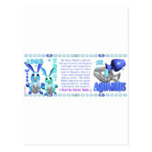 Valxart 1963 2023 Verseaux de zodiaque de WaterRab Cartes Postales