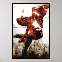 Van een hond Kali Plaat