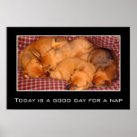 Vandaag is een goede dag voor een dutje (s) posters