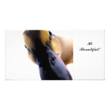 Variété de produits cartes avec photo